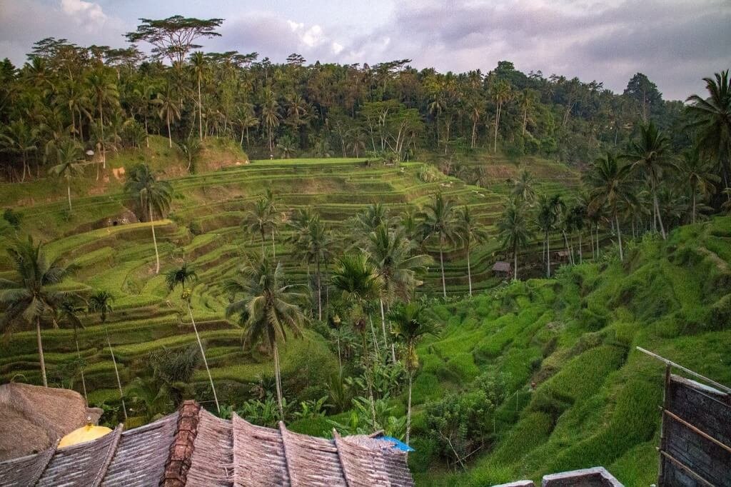 bali property search portal membership