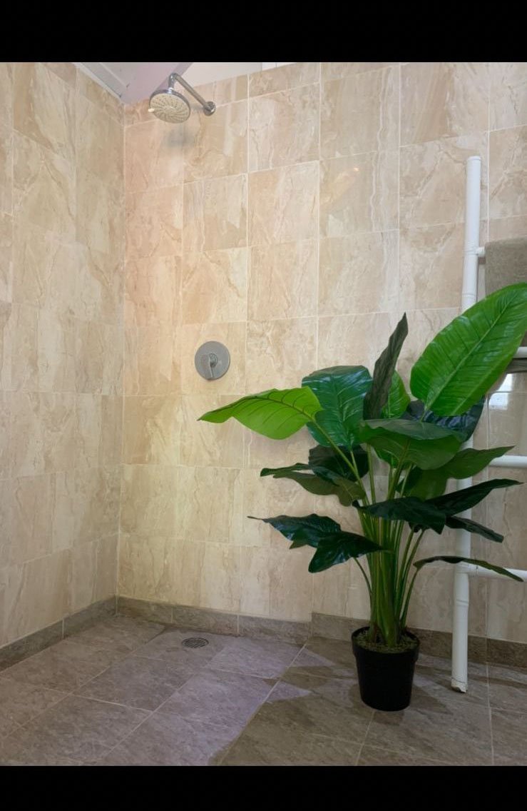 villa 2beds kerobokan07