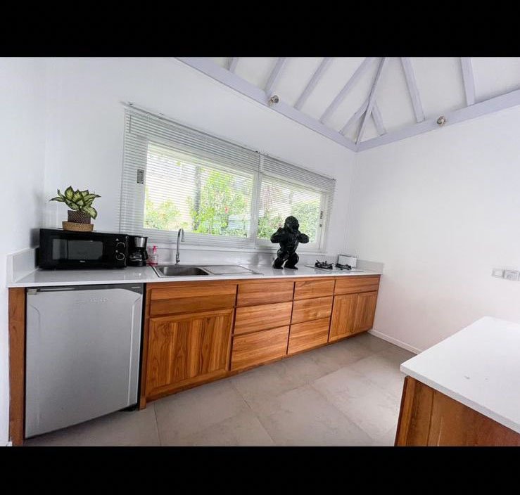 villa 2beds kerobokan12